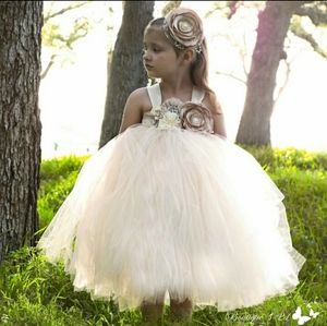 Tutu dress size 3-5